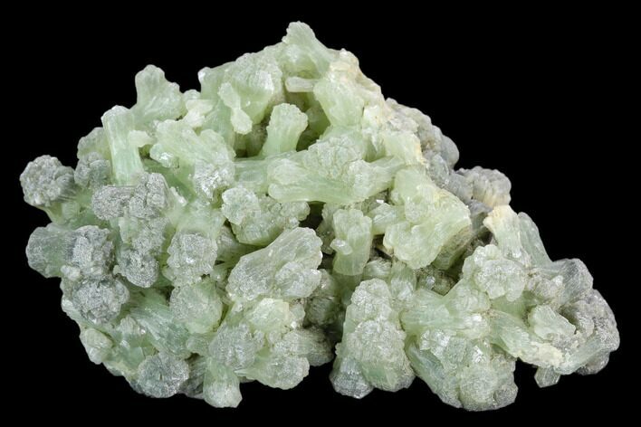 Green Prehnite Crystal Cluster - Morocco #127388